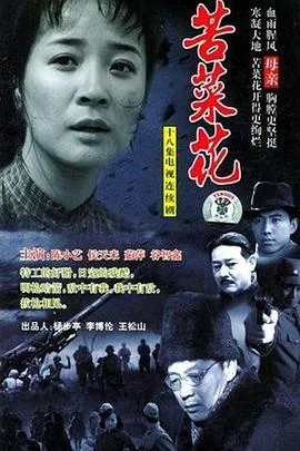 苦菜花2004[电影解说]
