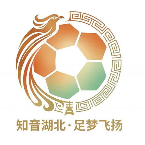 湖北省城市足球联赛 宜昌东阳光队VS孝感孝傲江湖队20260418