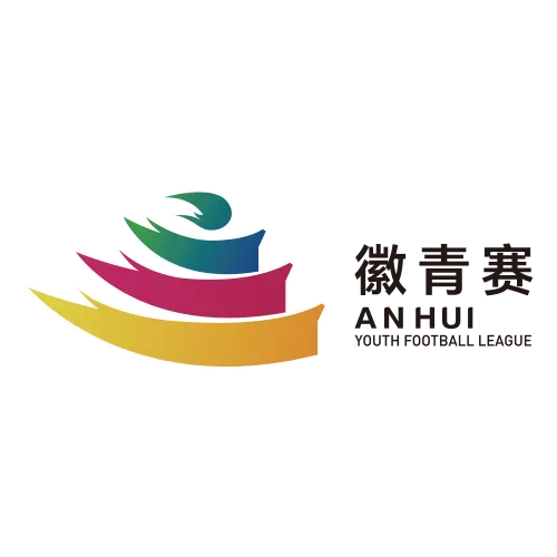 安徽省青少年足球联赛 芜湖VS滁州20260906