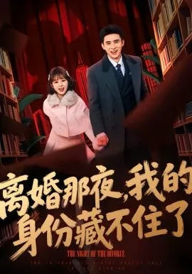 离婚那夜，我的身份藏不住了