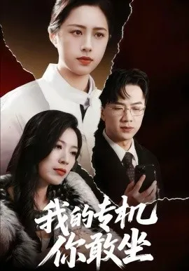 我的专机你敢坐