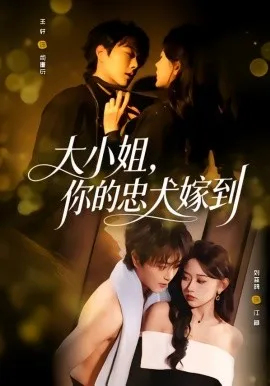 大小姐，你的忠犬嫁到
