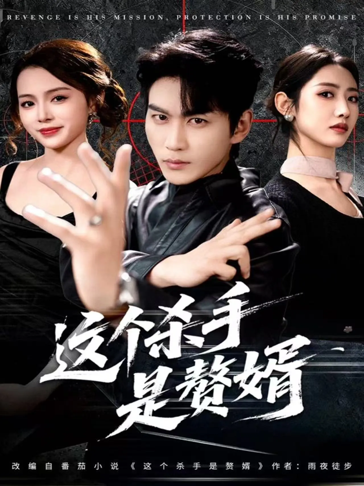 这个杀手是赘婿