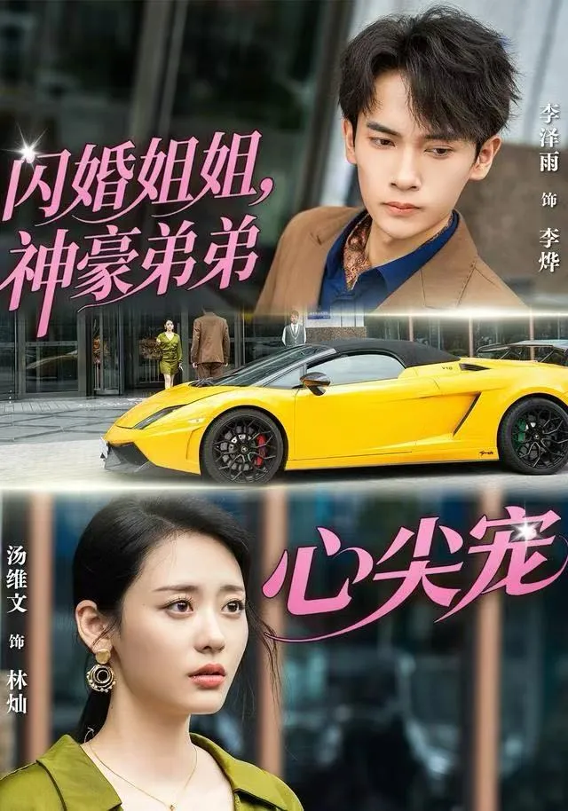 闪婚姐姐，神豪弟弟心尖宠