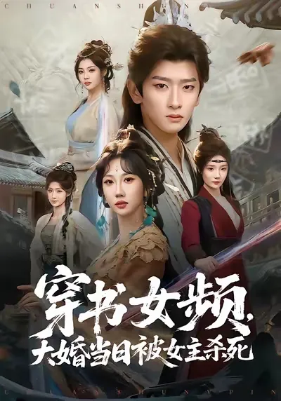 穿书女频，大婚当日被女主杀死