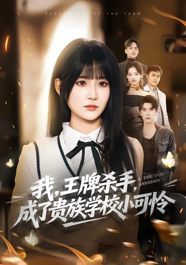 我，王牌杀手，成了贵族学校小可怜