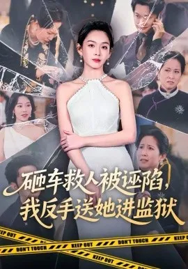 砸车救人被诬陷，我反手送她进监狱