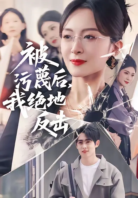 被污蔑后，我绝地反击